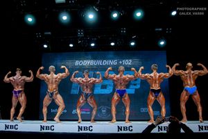 BODYBUILDING +102